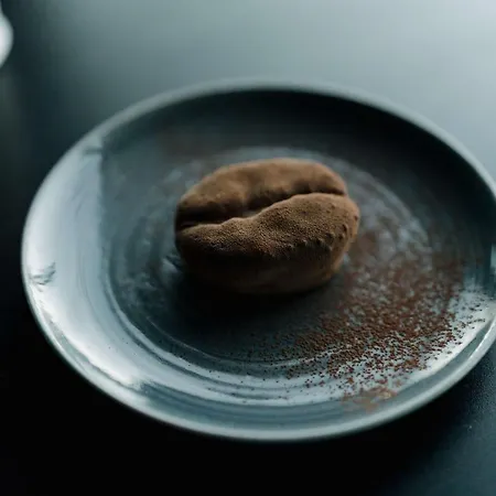 Radisson Blu 酒店 波尔多